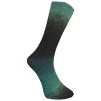 Ferner-Sockenwolle-Farbe-950-26